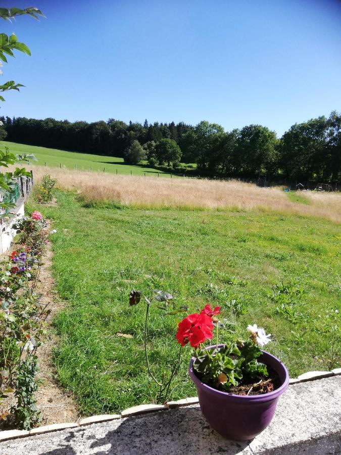 Gite Les Chaumeix Prondines Exteriér fotografie