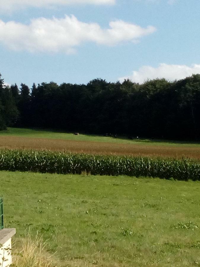 Gite Les Chaumeix Prondines Exteriér fotografie